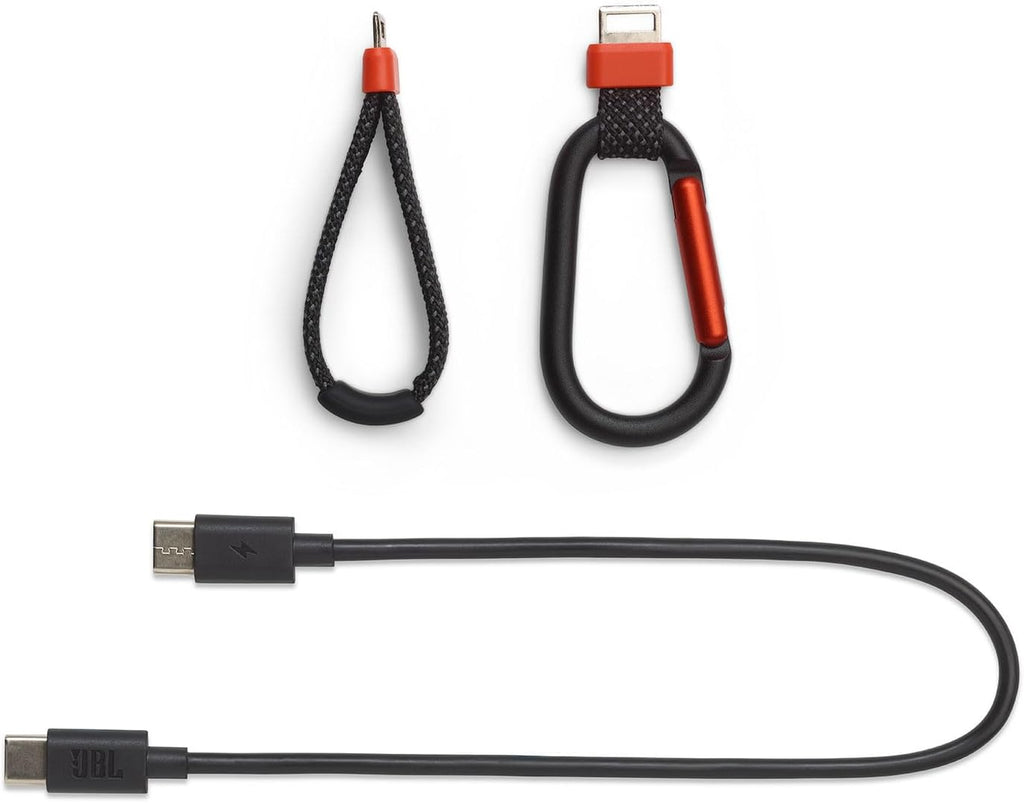 JBL Flip 7 with USB-C Braided Cable — Black
