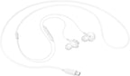 Samsung EO-IC100BWEGEU Type C Wired Earphones with Microphone - White