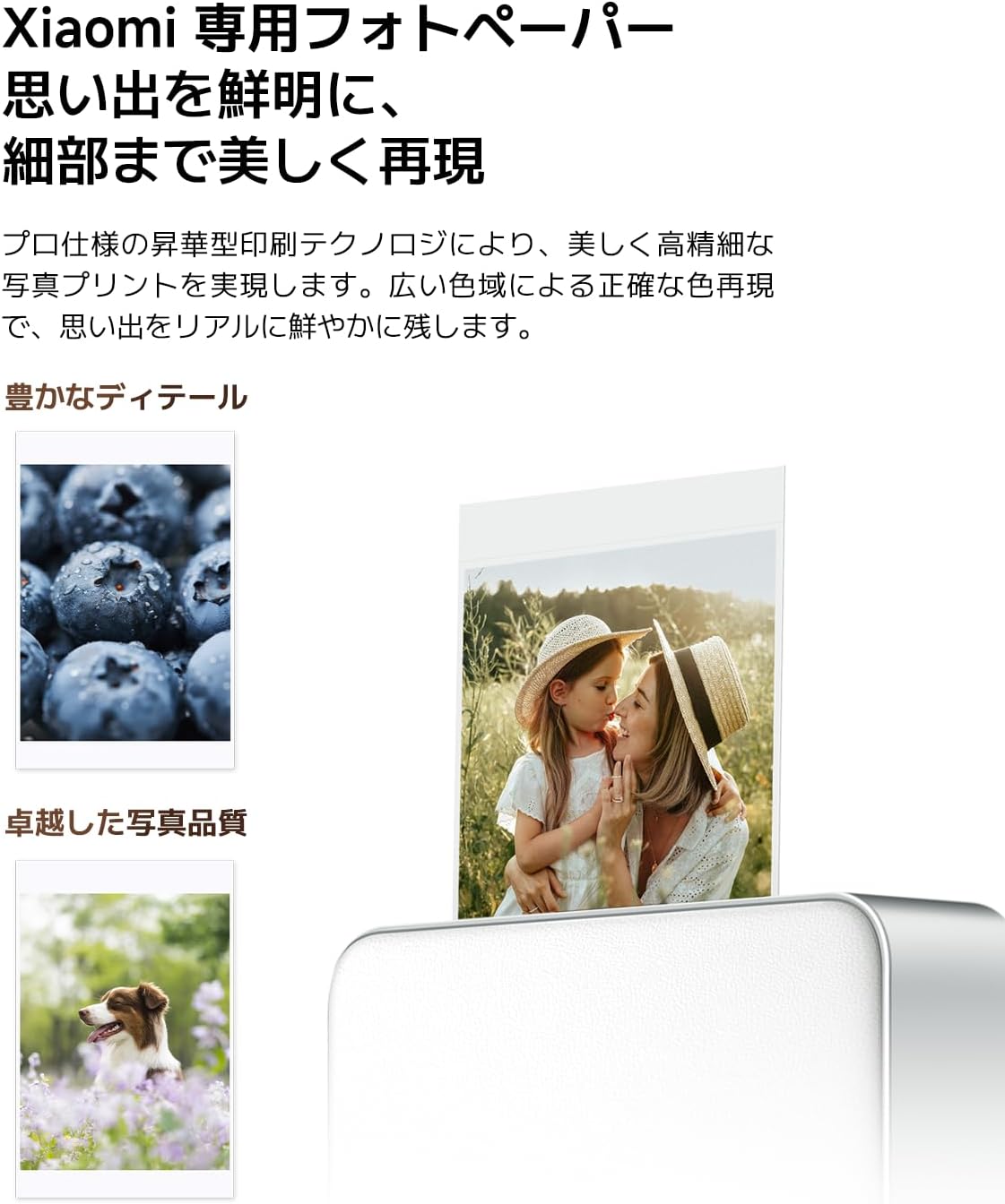 ZOVO_MEDIA_1