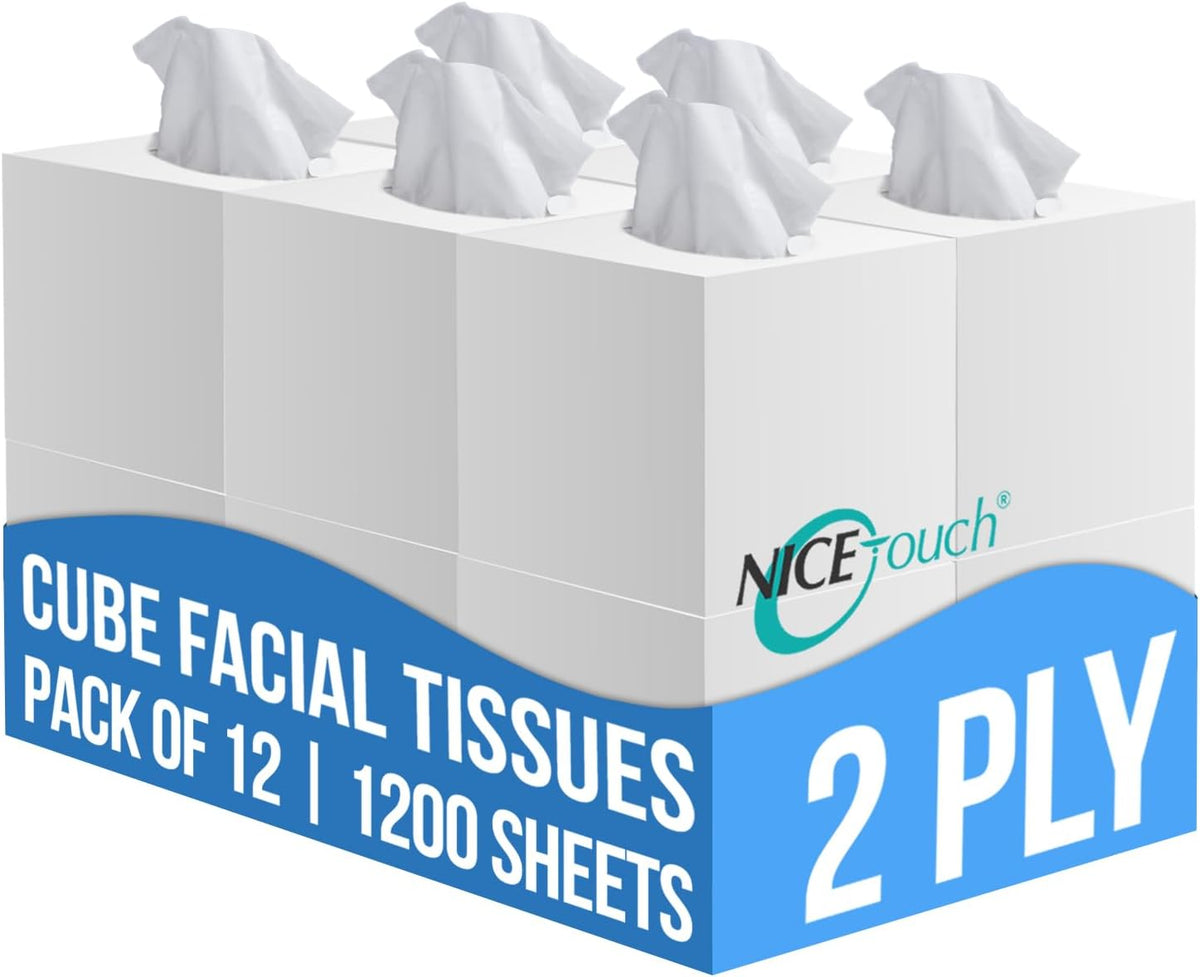 Nice Touch Facial Tissue - 2-Ply X 12 Cube Boxes of 100 Sheets Each - 1200 Premium Soft Feel and Absorbent Tissues — front product image