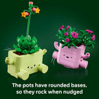 LEGO Botanicals Rocking Plants 11506 — image 5