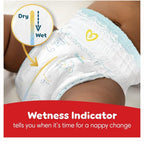Pampers Premium Care Pants Diapers, Size 5, 12-18kg, Unique Softest Absorption for Ultimate Skin Protection, 40 Count