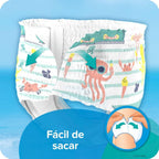 Pampers Splashers 12 Count 13-24 lbs