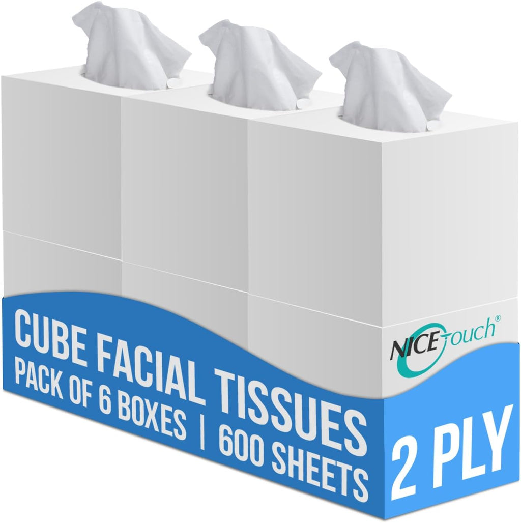 Nice Touch Facial Tissue - 2-Ply X 6 Cube Boxes of 100 Sheets Each - 600 Premium Soft Feel and Absorbent Tissues — front product image