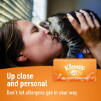Kleenex® Allergy Comfort™ Pocket Pack Tissues, 60 Sheets (P6 x 10) — additional view 6