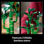 LEGO Botanicals Lucky Bamboo 10344 — image 4