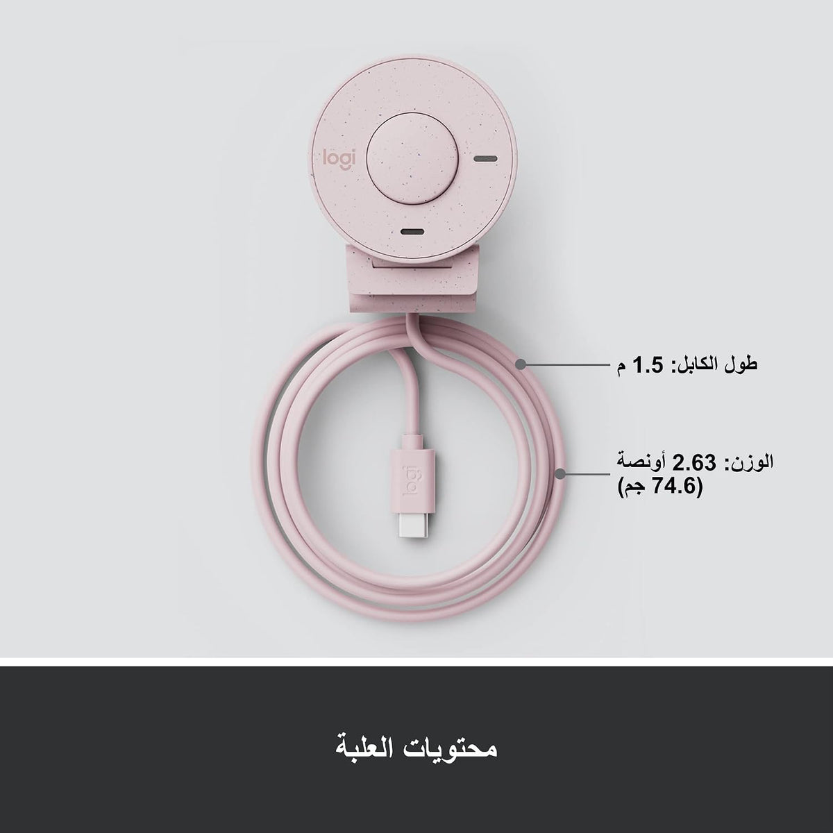 Logitech BRIO 300 Webcam — Rose