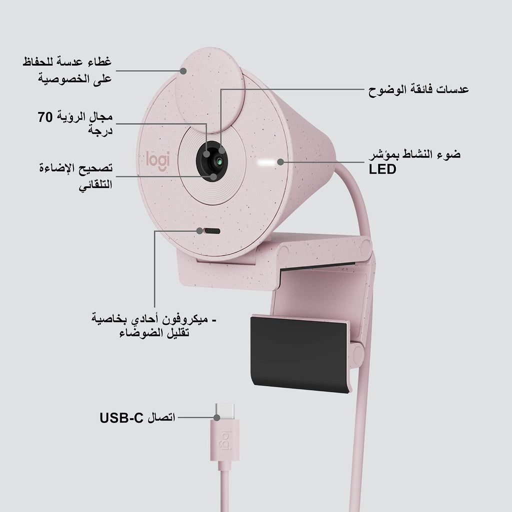 Logitech BRIO 300 Webcam — Rose