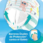 Pampers Splashers 12 Count 13-24 lbs