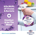 Clorox Scentiva Multi Surface Spray Cleaner 500ml, Tuscan Lavender, Bleach Free, Kills 99.9% of Viruses and Bacteria — additional view 3