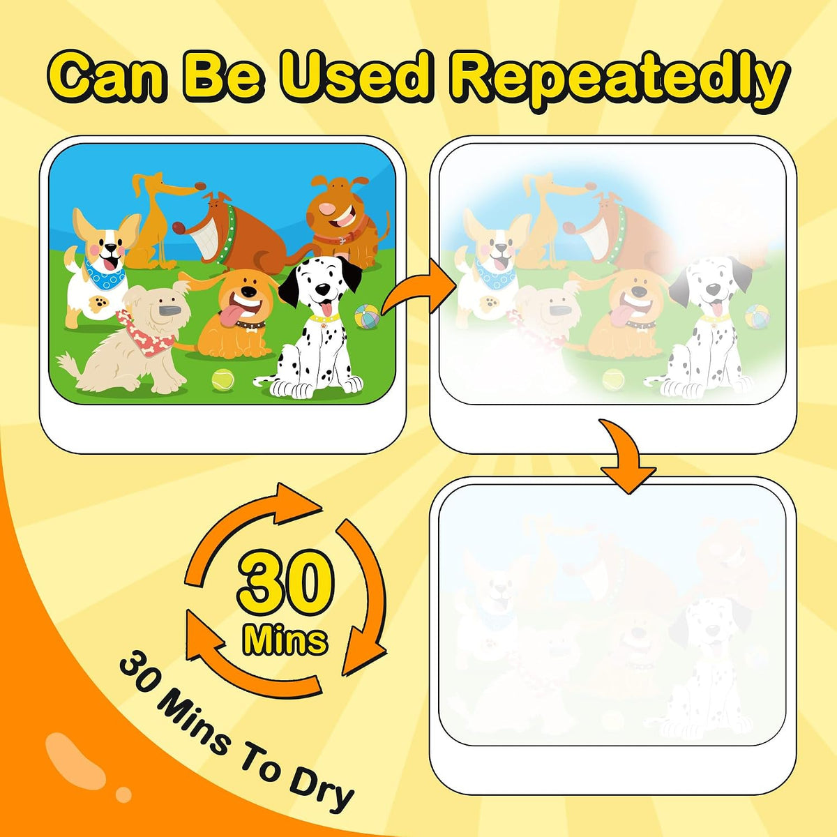 YPLUS Reusable Water-Reveal Activity Book — Animals