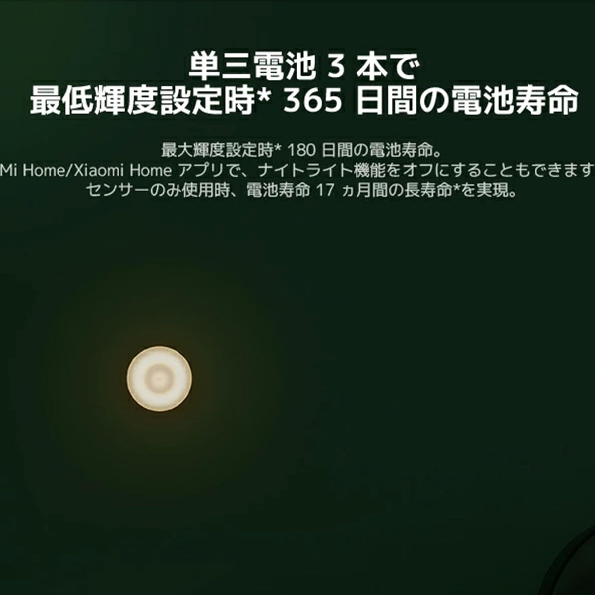 ZOVO_MEDIA_6