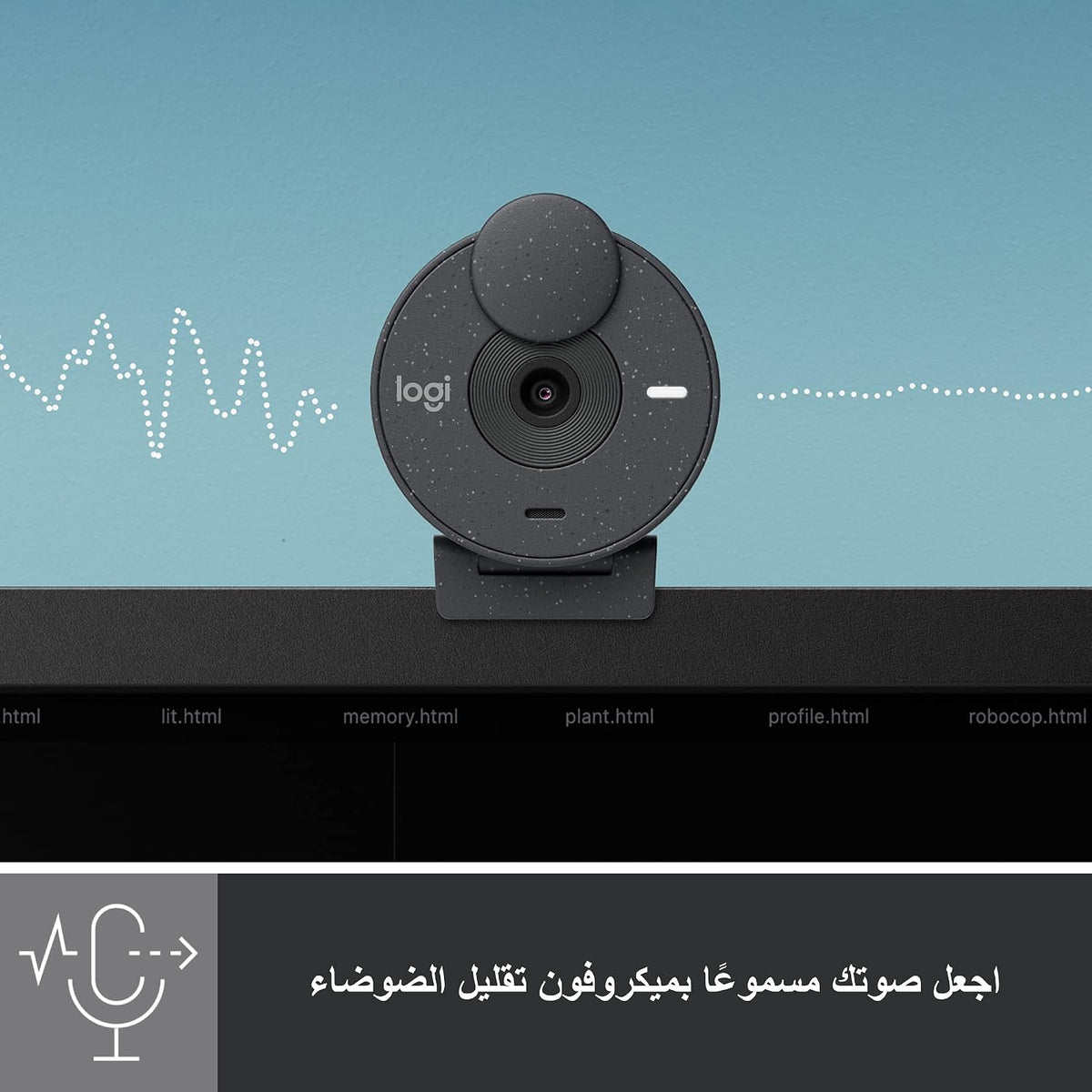 Logitech BRIO 300 Webcam — Graphite