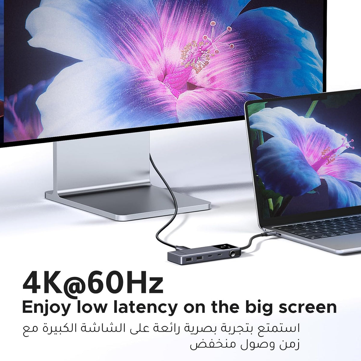 ZOVO_MEDIA_3