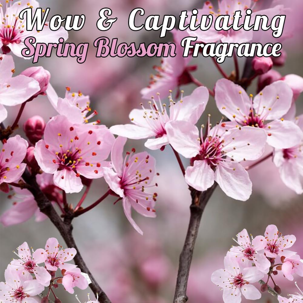 ECOLYTE+ Disinfectant Ecolyte Premium Hand Wash Liquid Refill - 5 Liter - Spring Blossom - Effective Germ Protection — additional view 4