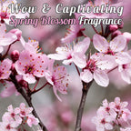 ECOLYTE+ Disinfectant Ecolyte Premium Hand Wash Liquid Refill - 5 Liter - Spring Blossom - Effective Germ Protection — additional view 4
