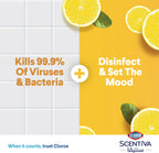 Clorox Scentiva Disinfectant Floor Cleaner 3L, Madagascar Citrus Grove, Kills 99.9% of Viruses and Bacteria, Bleach Free — additional view 4