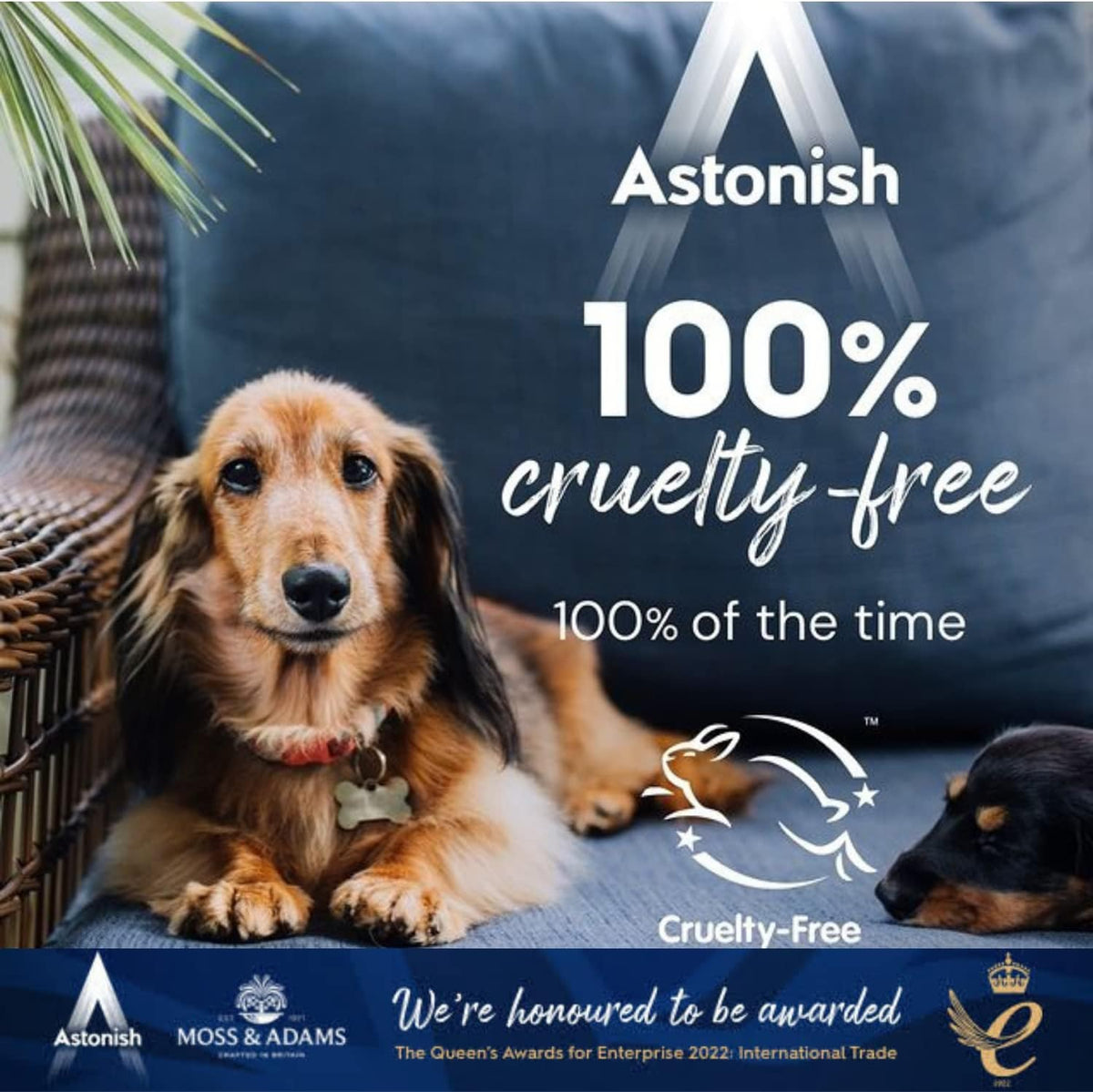 Astonish Grease Lifter, 750 ml — additional product view 6