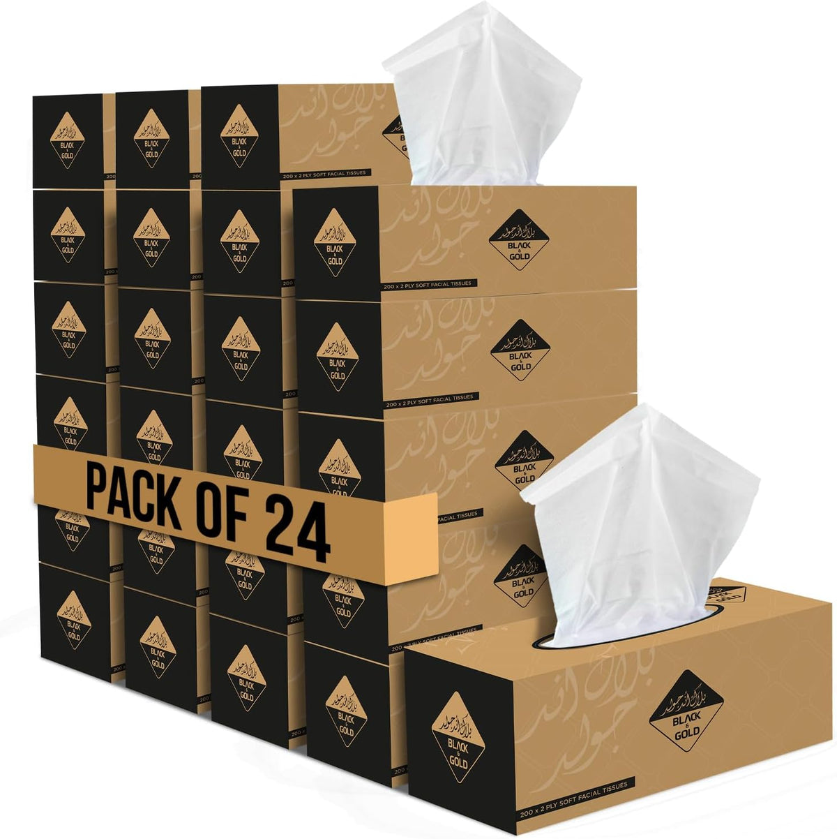 Nice Touch Facial Tissue Boxes, 2 Ply x 24 Black & Gold Pack of 200 Sheets each — front product image