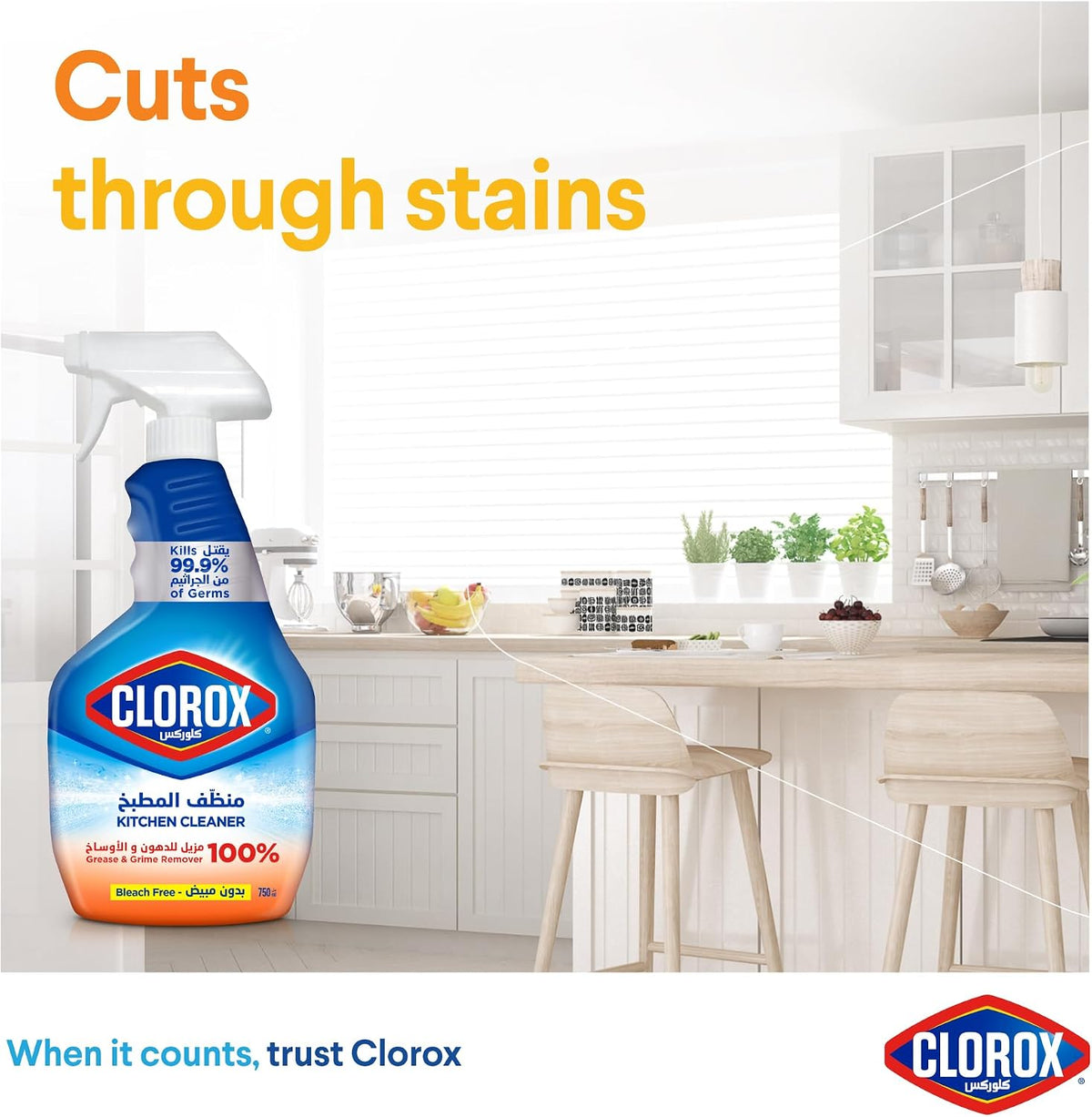 Clorox Kitchen Spray Cleaner, 750ml, Bleach Free, Kills 99.9% of Germs, 100% Grease and Grime Remover — additional view 5