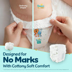 Pampers Premium Care Pants Diapers Monthly Box Pack, X-Large, 72 Count