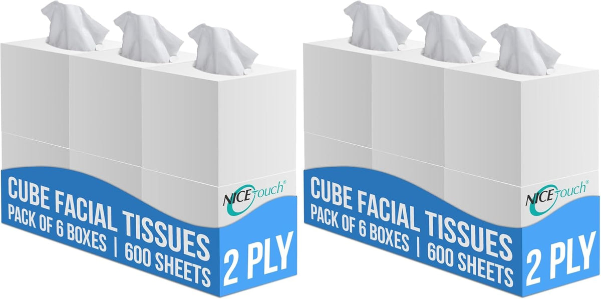 Nice Touch Facial Tissue - 2-Ply X 6 Cube Boxes of 100 Sheets Each - 600 Premium Soft Feel and Absorbent Tissues for All Skin Types and any event (Pack of 2) — front product image