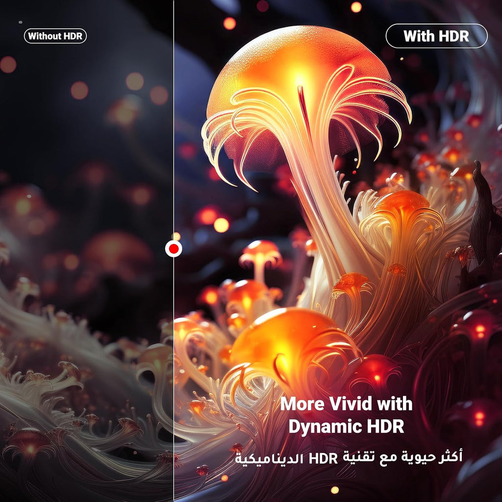 ZOVO_MEDIA_2