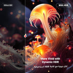 ZOVO_MEDIA_2
