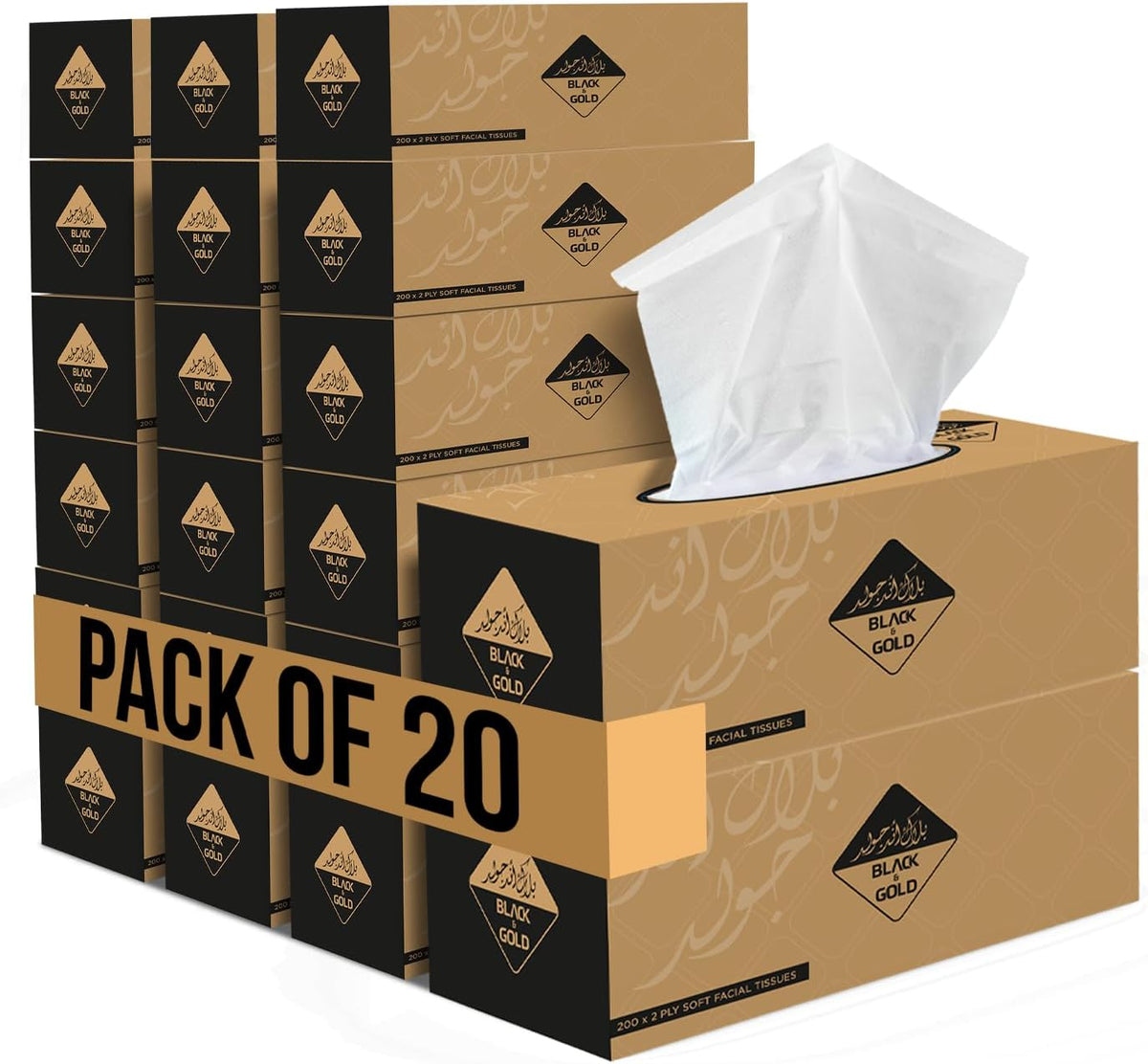 Nice Touch Facial Tissue Boxes, 2 Ply, 20 Pack of 200 Sheets Each, Total 4000 Sheets, Soft Feel Tissue for All Skin Types — front product image