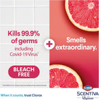 Clorox Scentiva Disinfecting Wipes Grapefruit & Orange Blossom — additional view 2