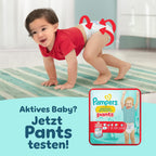 Pampers Premium Protection Size 6, x144 Nappies, 13kg+, Our N°1 for Comfort & Protection for Sensitive Skin