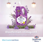 Clorox Scentiva Disinfectant Floor Cleaner 1.5L, Tuscan Lavender, Kills 99.9% of Viruses and Bacteria, Bleach Free — additional view 3