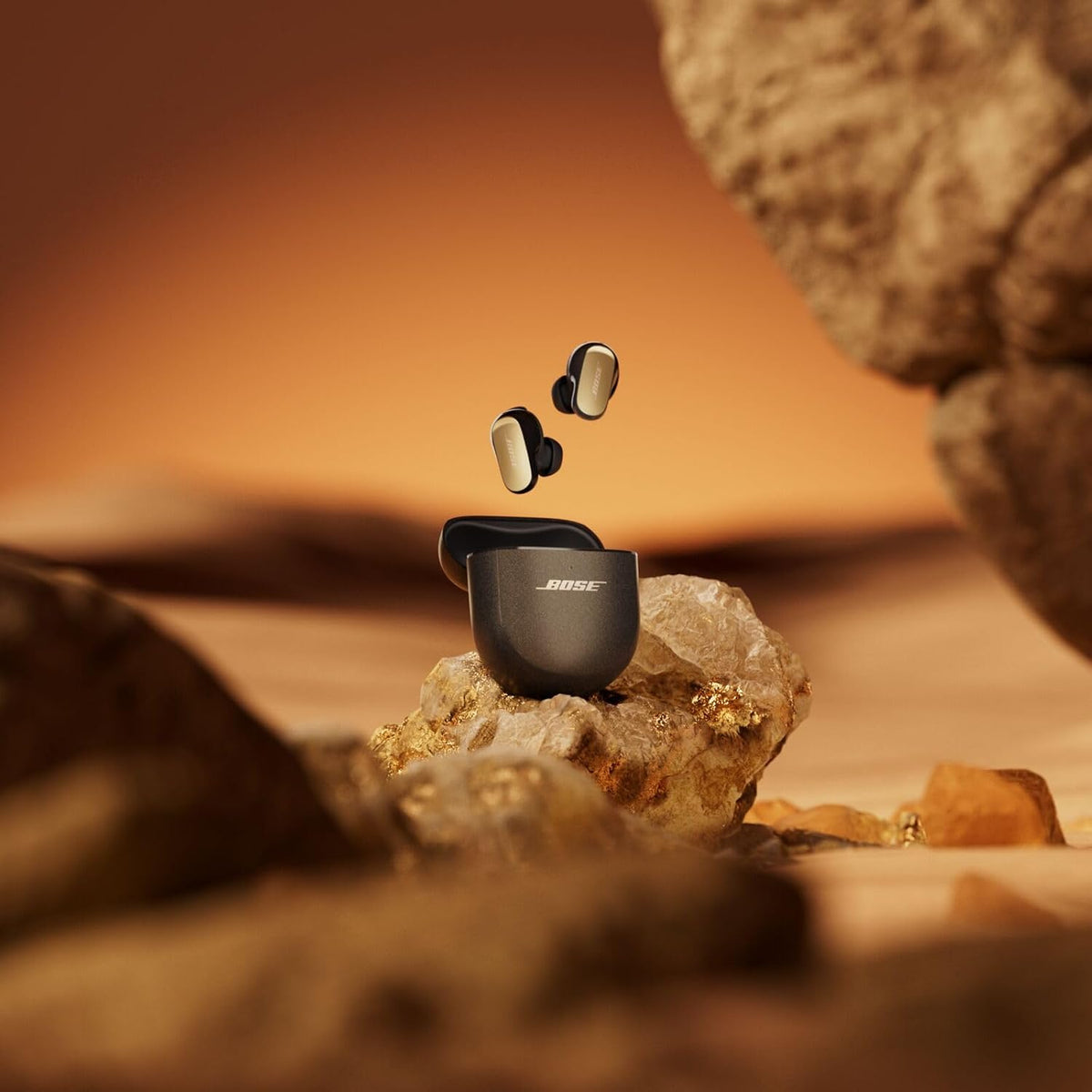 Bose product detail