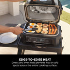 Ninja Woodfire XL Non-Stick Griddle Plate, Rectangular, Official Accessory, Compatible with Ninja Woodfire XL BBQ Grill OG850 / OG901, Black — detail image 4